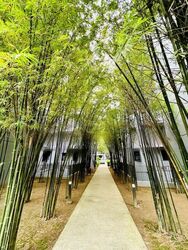 The Visionaire (D27), Condominium #464677131